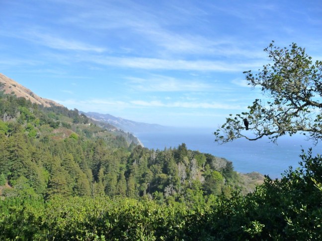 View from outdoor dinner table at Nepenthe in Big Sur