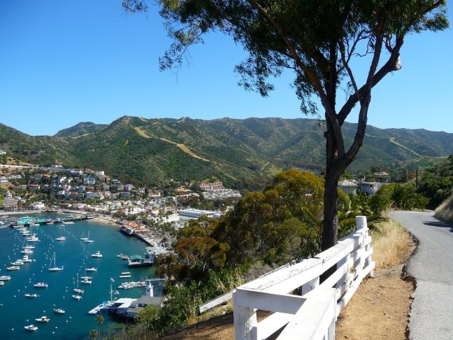 View of Avalon Harbor from road above