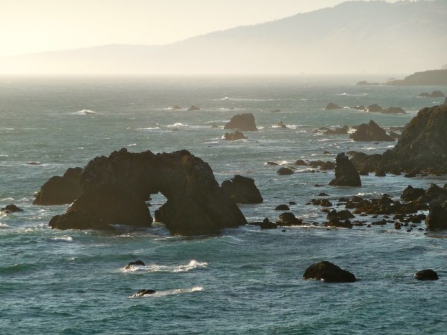 Sonoma Coast