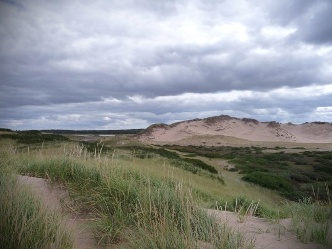 Greenwich Dunes