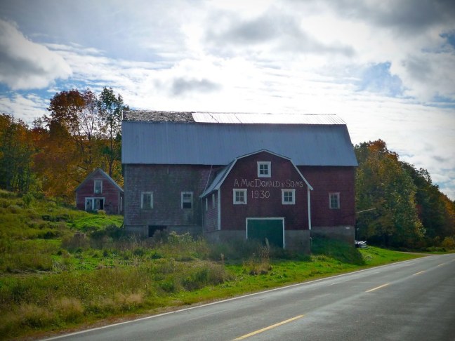 Old MacDonald had a farm