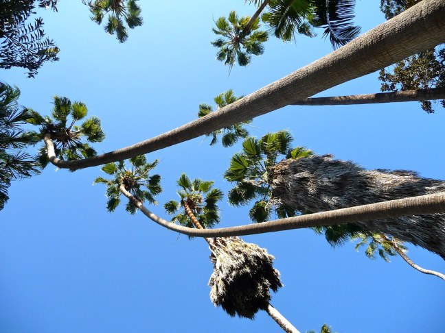 Balboa Park