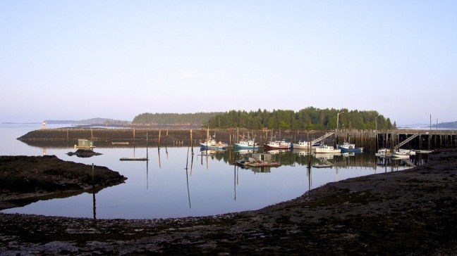 Low tide in the Bay of Fundy
