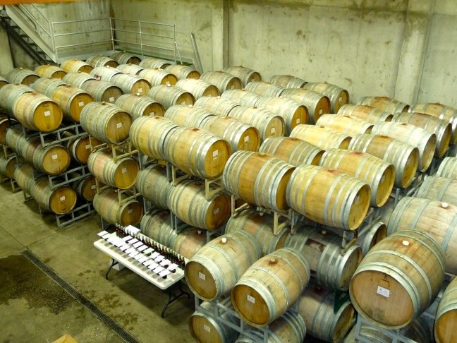 Yamhill Valley Vineyards