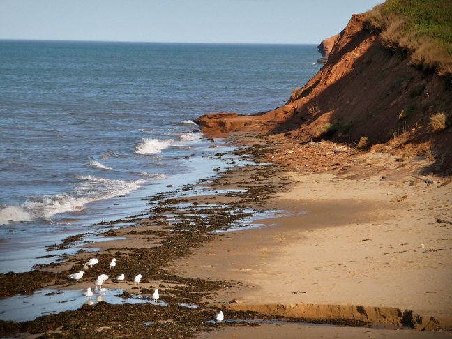 Prince Edward Island National Park