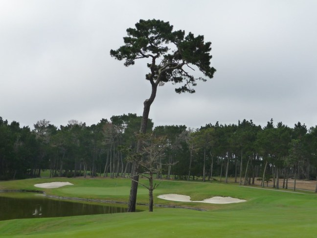 Poppy Hills Golf Course