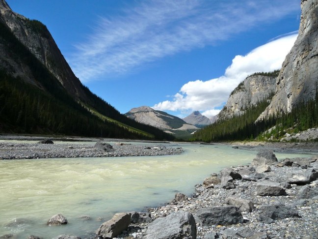 Sunwapta River Along Icefields Parkway