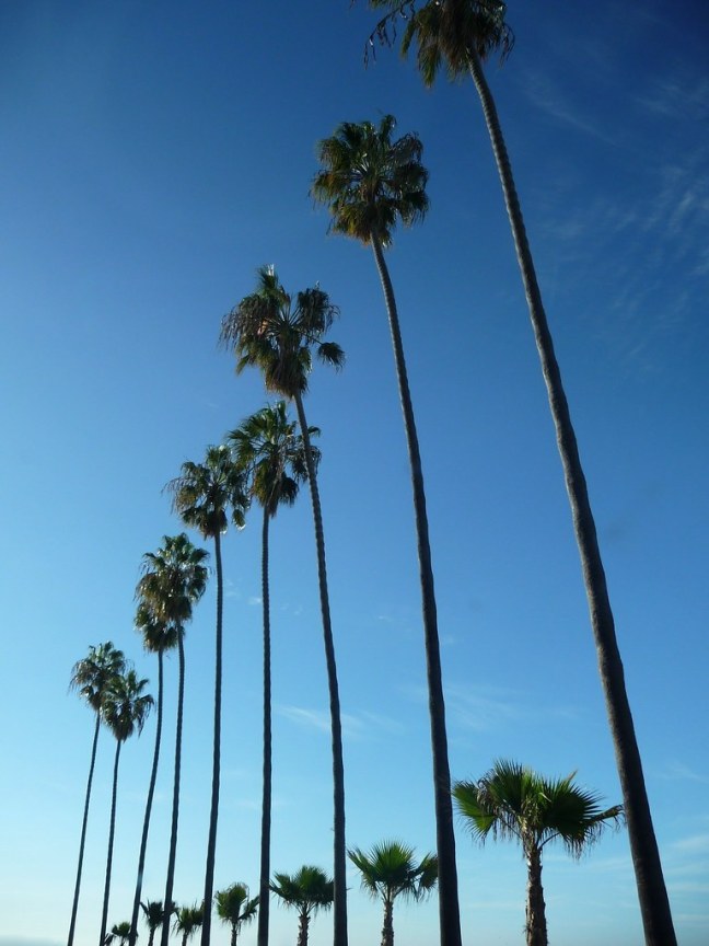 La Jolla
