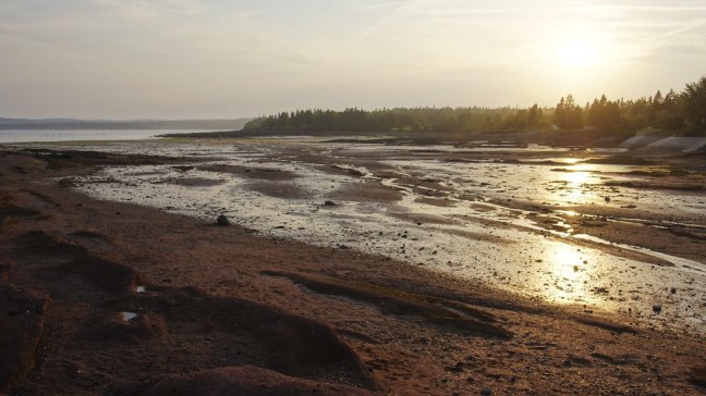 Low tide in St. Andrews