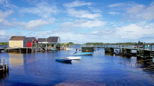 Blue Rocks