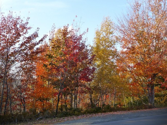 Acadia National Park