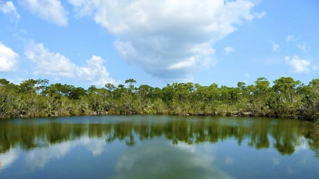 Blue Hole on Big Pine Key