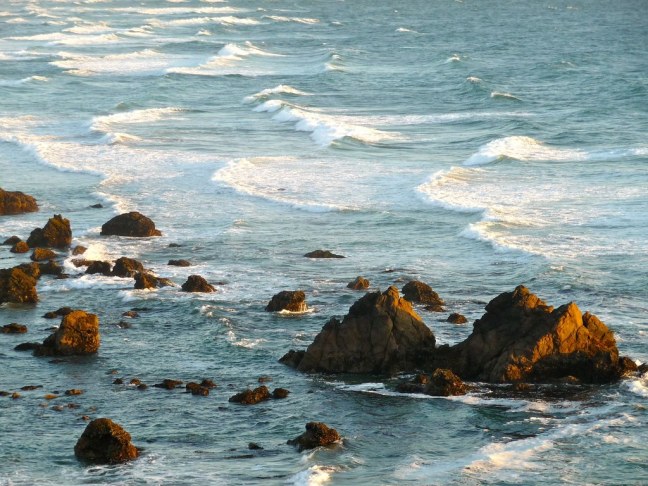 Sonoma Coast
