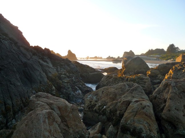 Harris Beach State Park