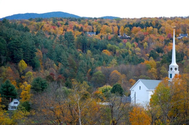 Foliage of Stowe