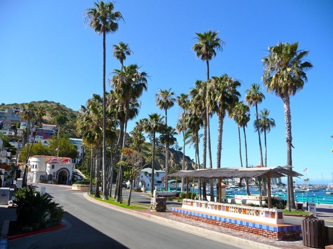 Downtown Avalon