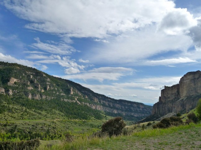 Bighorn National Forest