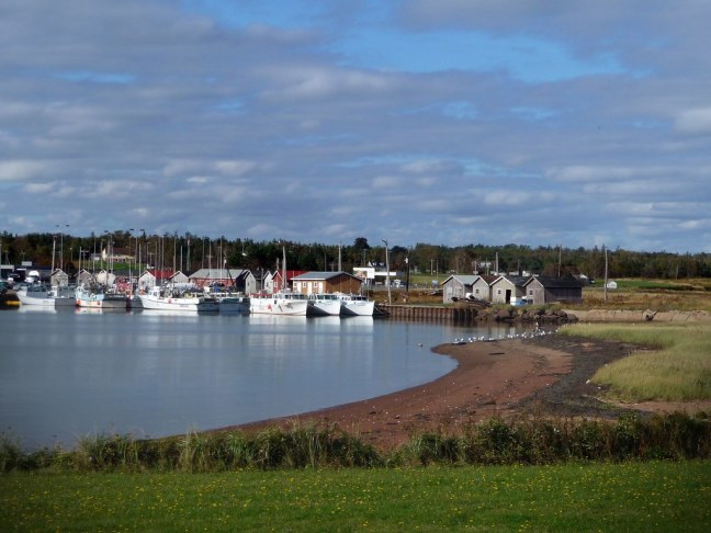 Wood Island