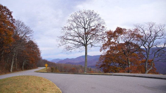 Fall foliage on the Blue Ridge Parkway