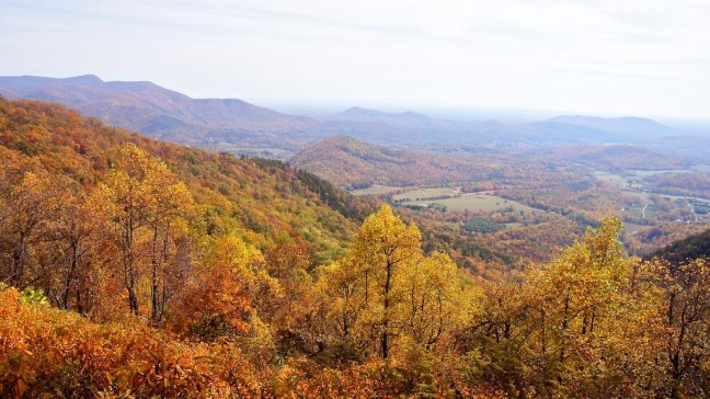 Fall foliage on the Blue Ridge Parkway
