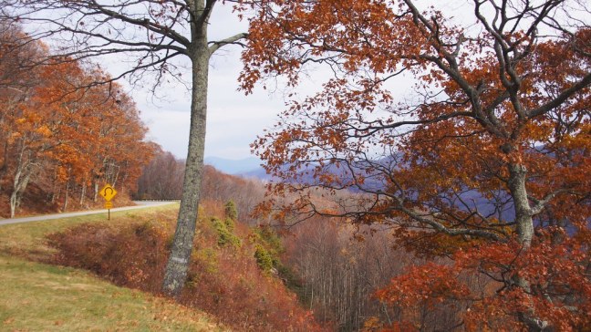 Fall foliage on the Blue Ridge Parkway