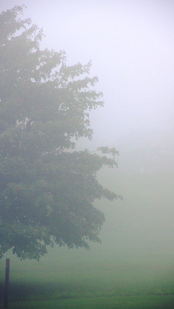 Foggy weather in Finger Lakes
