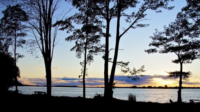 Saint Lawrence River at Coles Creek State Park