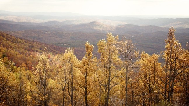 Fall foliage on the Blue Ridge Parkway