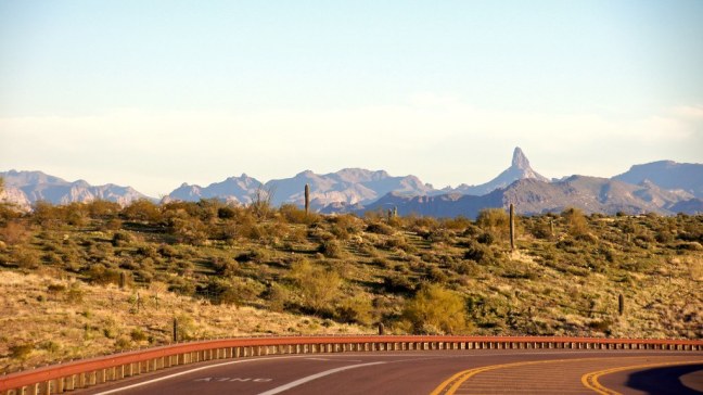 Tonto National Forest
