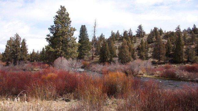 High desert scenery