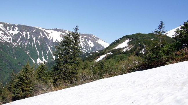 Hiking through snow above Juneau