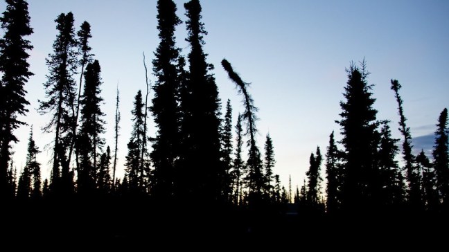 Midnight in Alaska