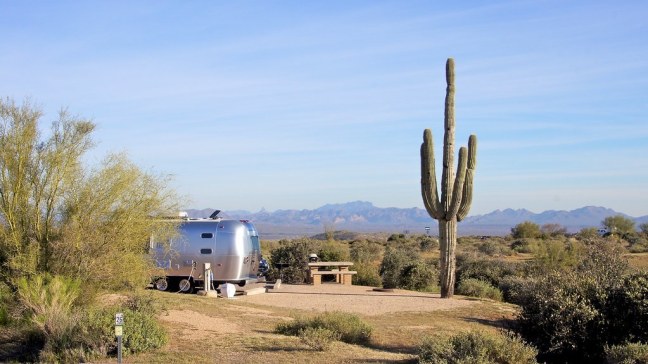 Campsite at McDowell Mountain Regional Park