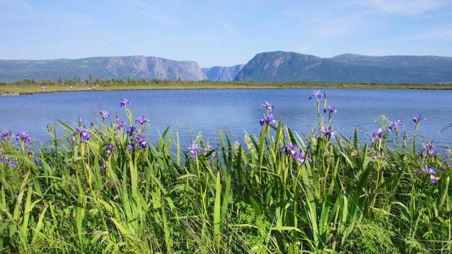 Western Brook Pond Tour