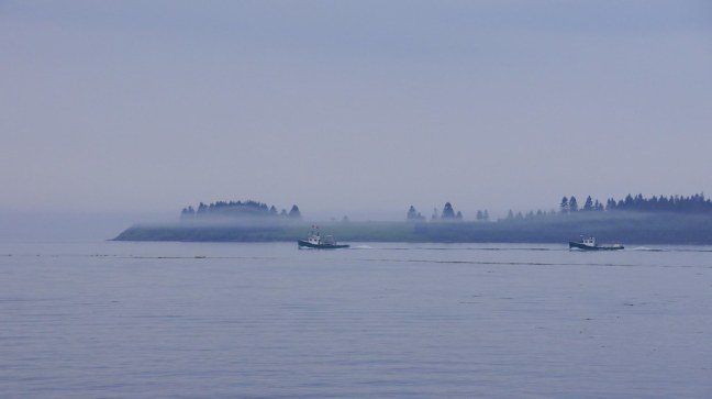 View from Kiwanis Oceanfront Camping