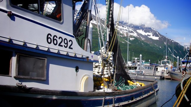 Fishing boats