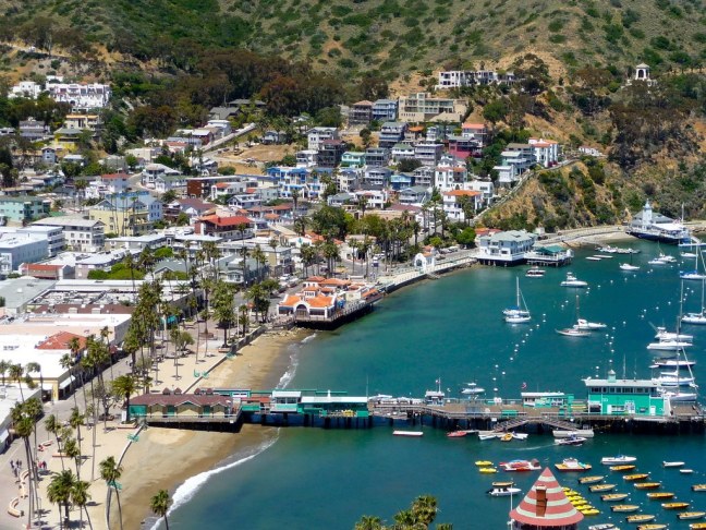 View of Avalon Harbor from road above
