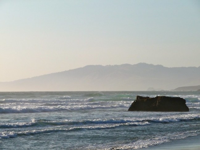 Sonoma Coast