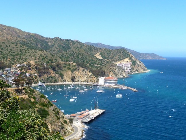 View of Avalon Harbor from road above