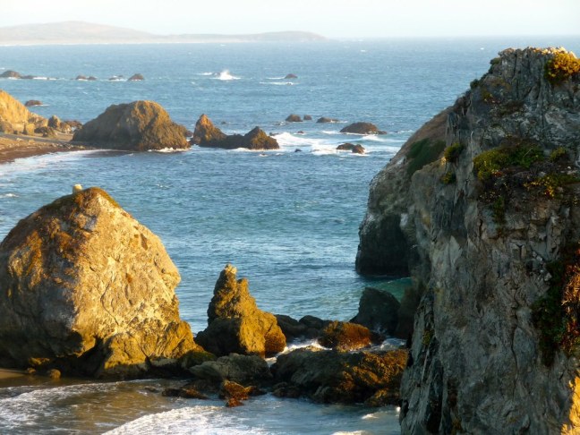 Sonoma Coast