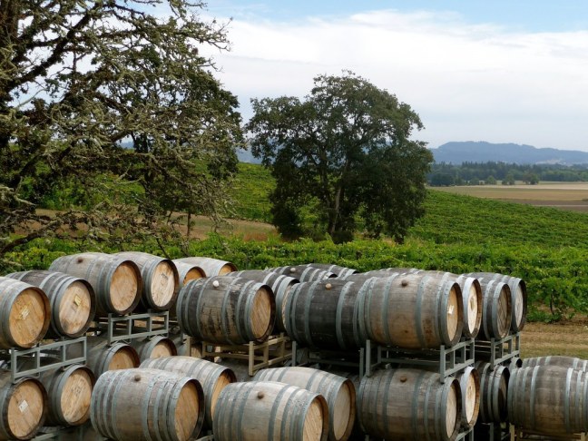 Yamhill Valley Vineyards