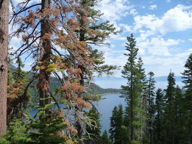 View above Emerald Bay