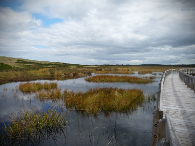 Greenwich Dunes