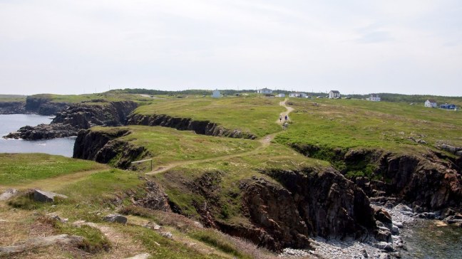 Path to the puffin viewing site