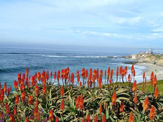 La Jolla
