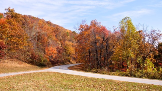 Fall foliage on the Blue Ridge Parkway