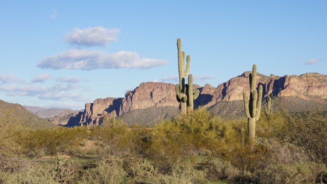 Bulldog Canyon