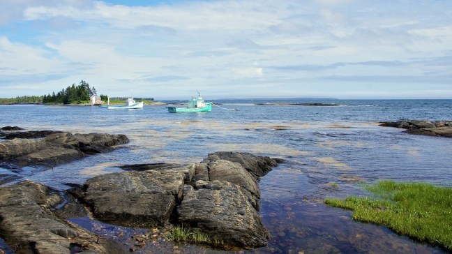 Blue Rocks
