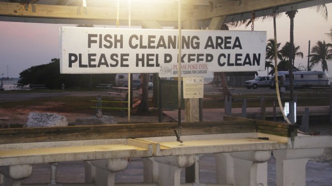 Fish Cleaning at Knight's Key
