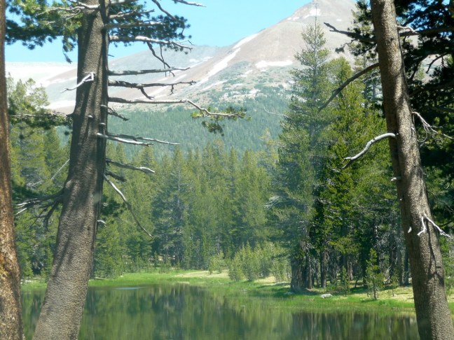 Along Tioga Pass